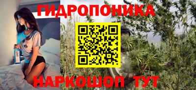 a pvp Краснокаменск